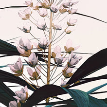 Load image into Gallery viewer, JUNGLE MORNING