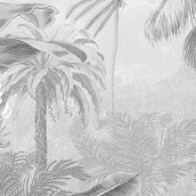 Lade das Bild in den Galerie-Viewer, AMAZONIA BLACK AND WHITE