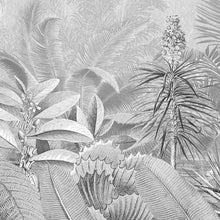 Lade das Bild in den Galerie-Viewer, AMAZONIA BLACK AND WHITE