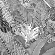 Lade das Bild in den Galerie-Viewer, AMAZONIA BLACK AND WHITE