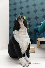 Carica l'immagine nel visualizzatore di Gallery, ALL AROUND