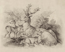 Cargar imagen en el visor de la galería, ON THE GRASS