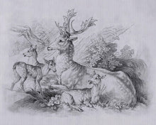 Cargar imagen en el visor de la galería, ON THE GRASS