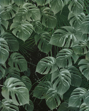 Load image into Gallery viewer, MONSTERA ON MARBLE