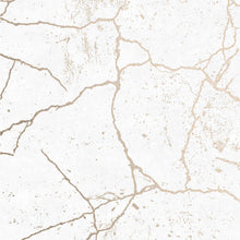 Load image into Gallery viewer, SECRET MARBLE
