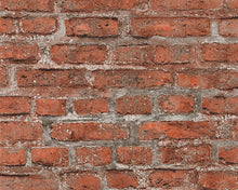 Carica l&#39;immagine nel visualizzatore di Gallery, ELEMENTS
